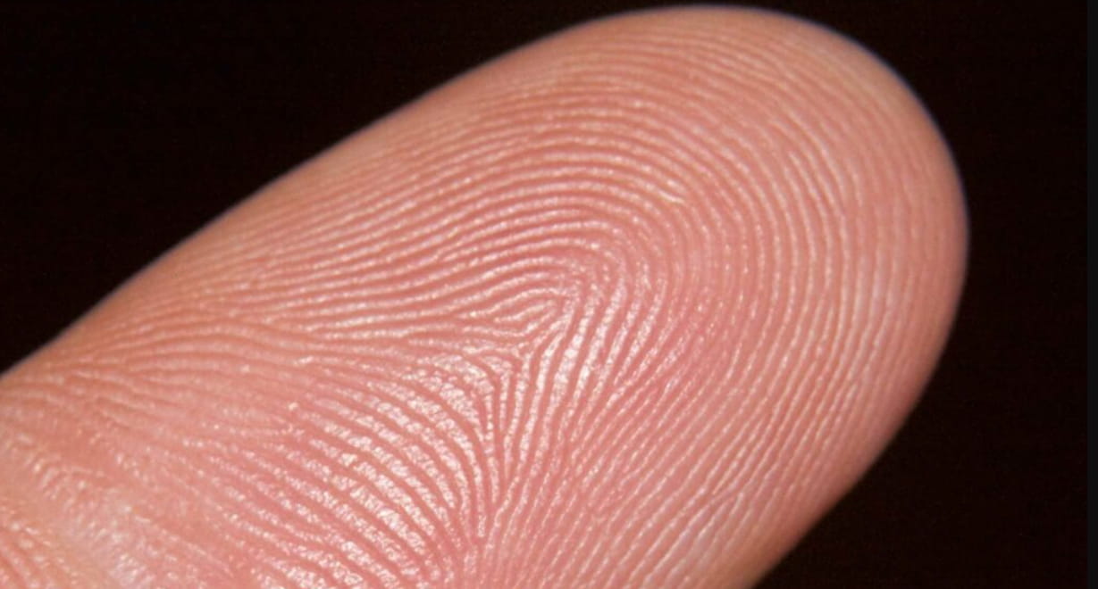 Apa itu Fingerprint